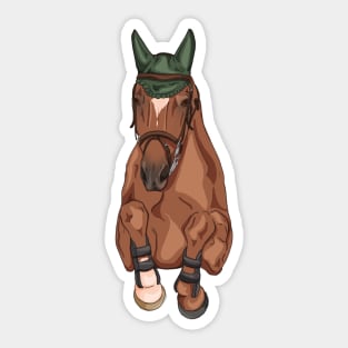 Chestnut Show Jumper Front Sticker